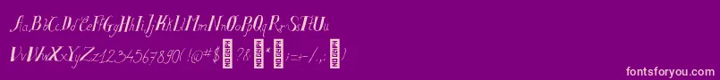 SalvatstudyRegular Font – Pink Fonts on Purple Background