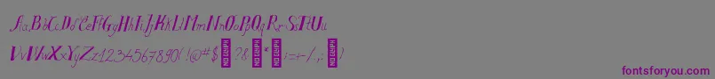 SalvatstudyRegular Font – Purple Fonts on Gray Background