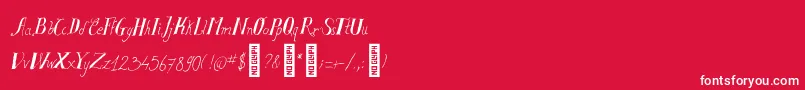 SalvatstudyRegular Font – White Fonts on Red Background