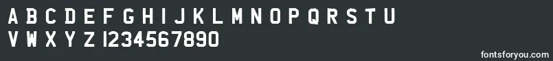 Uknumberplate Font – White Fonts on Black Background