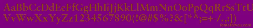 GaramondRetrospectiveSsiBold Font – Brown Fonts on Purple Background