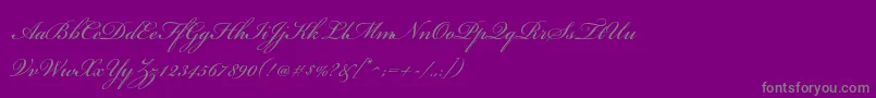 BickhamscriptstdRegular-Schriftart – Graue Schriften auf violettem Hintergrund