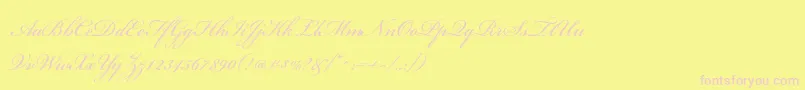 BickhamscriptstdRegular Font – Pink Fonts on Yellow Background