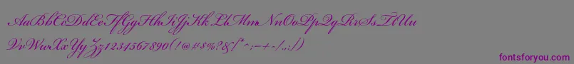 BickhamscriptstdRegular-Schriftart – Violette Schriften auf grauem Hintergrund