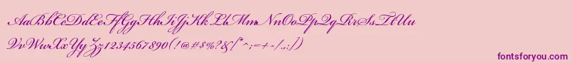 BickhamscriptstdRegular-Schriftart – Violette Schriften auf rosa Hintergrund