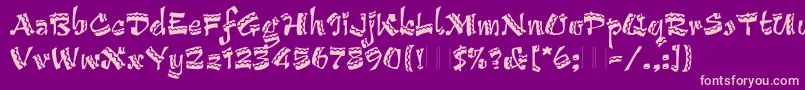 ArribaArribaPlain Font – Pink Fonts on Purple Background