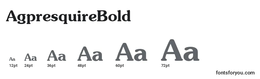 AgpresquireBold Font Sizes
