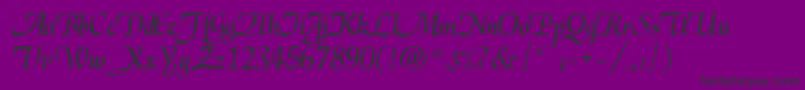 Daniela Font – Black Fonts on Purple Background