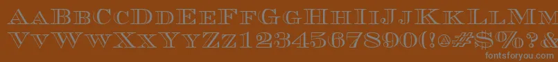 CurrencyoutlineRegular Font – Gray Fonts on Brown Background