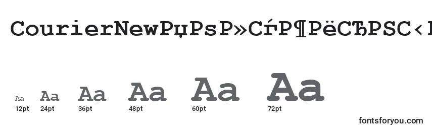 CourierNewРџРѕР»СѓР¶РёСЂРЅС‹Р№ Font Sizes