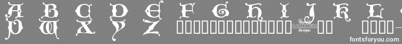 Kingxt Font – White Fonts on Gray Background