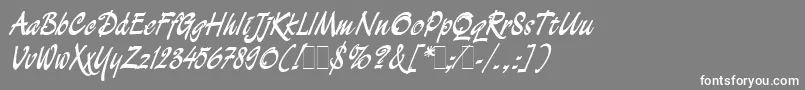 DemianBoldLetPlain.1.0 Font – White Fonts on Gray Background
