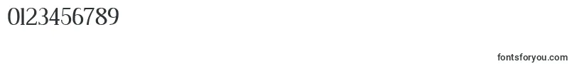 DustismoRoman Font – Fonts for Numbers and Digits