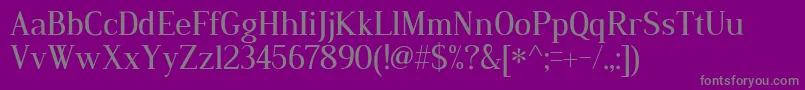 フォントDustismoRoman – 紫の背景に灰色の文字