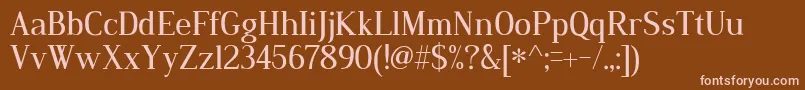 フォントDustismoRoman – 茶色の背景にピンクのフォント