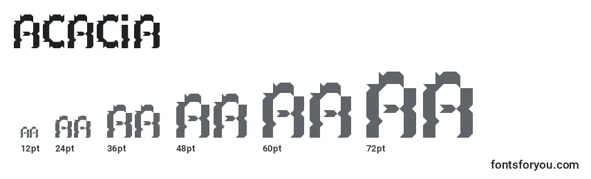 Acacia Font Sizes