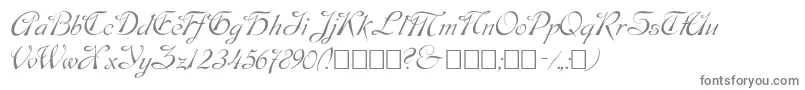 Script9-fontti – harmaat kirjasimet valkoisella taustalla
