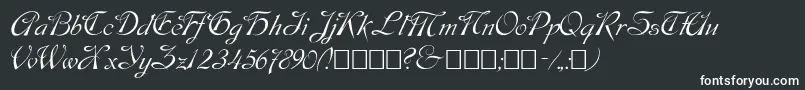 Script9 Font – White Fonts