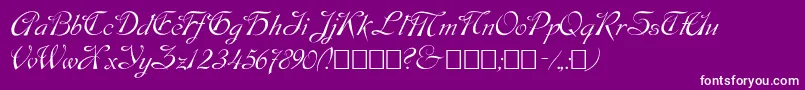 Script9-Schriftart – Weiße Schriften auf violettem Hintergrund