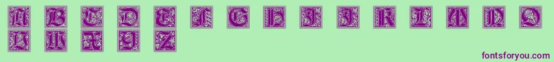 GotischeInitialen Font – Purple Fonts on Green Background