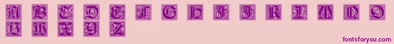 GotischeInitialen Font – Purple Fonts on Pink Background