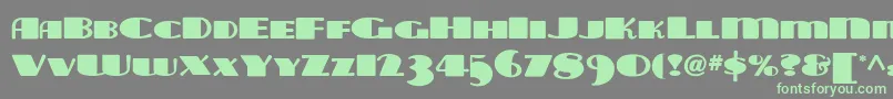 Police Tara ffy – polices vertes sur fond gris