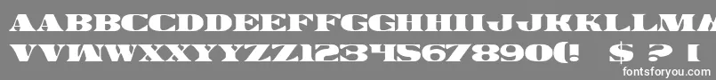 LegalTender Font – White Fonts on Gray Background