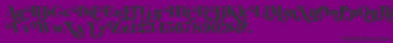 K22DidoniSwash-fontti – mustat fontit violetilla taustalla