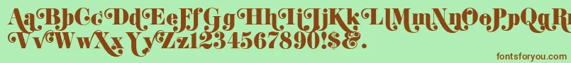 K22DidoniSwash Font – Brown Fonts on Green Background