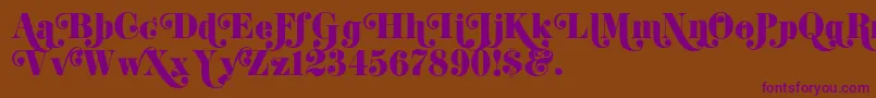 K22DidoniSwash Font – Purple Fonts on Brown Background