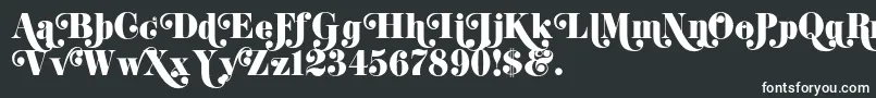 K22DidoniSwash-Schriftart – Weiße Schriften auf schwarzem Hintergrund