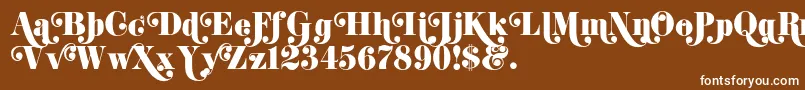 K22DidoniSwash Font – White Fonts on Brown Background