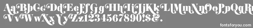 フォントK22DidoniSwash – 灰色の背景に白い文字