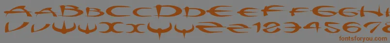 Myquestr-Schriftart – Braune Schriften auf grauem Hintergrund
