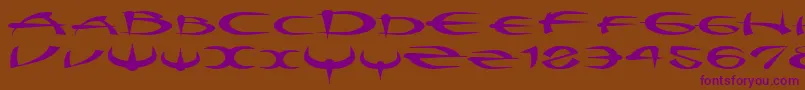 Police Myquestr – polices violettes sur fond brun