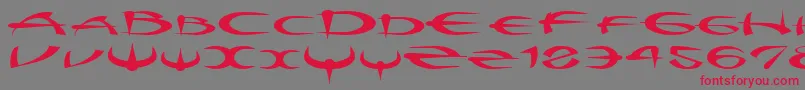 Myquestr Font – Red Fonts on Gray Background