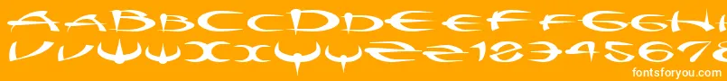 Шрифт Myquestr – белые шрифты на оранжевом фоне