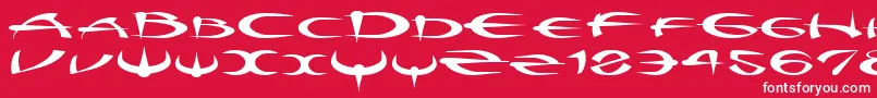 Myquestr Font – White Fonts on Red Background