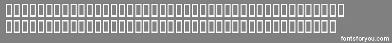 フォントWbxGrannyt2 – 灰色の背景に白い文字