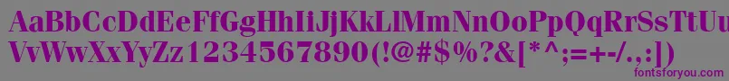 CompendiumSsiBold Font – Purple Fonts on Gray Background