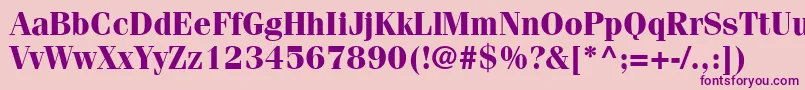 CompendiumSsiBold Font – Purple Fonts on Pink Background