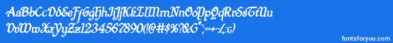 Quillswordboldital Font – White Fonts on Blue Background