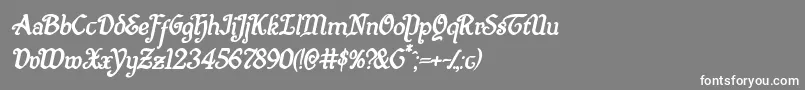 フォントQuillswordboldital – 灰色の背景に白い文字