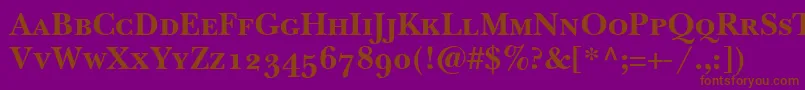 BaskervilleSmallCapsSsiBoldSmallCaps Font – Brown Fonts on Purple Background