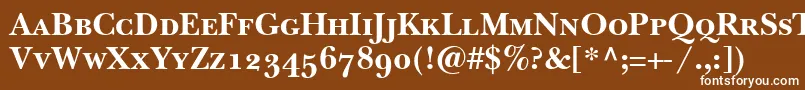 BaskervilleSmallCapsSsiBoldSmallCaps Font – White Fonts on Brown Background