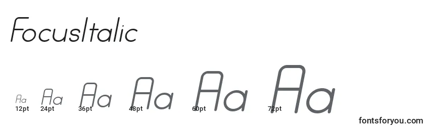 FocusItalic Font Sizes