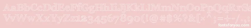 Police ArchisticoNormal – polices blanches sur fond rose