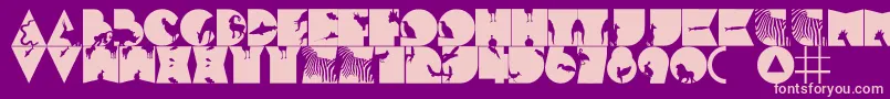 FtfMintheeHewante Font – Pink Fonts on Purple Background