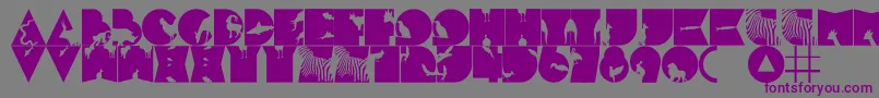 FtfMintheeHewante Font – Purple Fonts on Gray Background