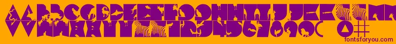 FtfMintheeHewante Font – Purple Fonts on Orange Background